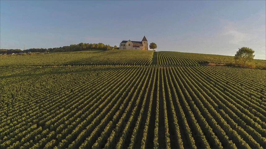 佩内德斯 Penedès