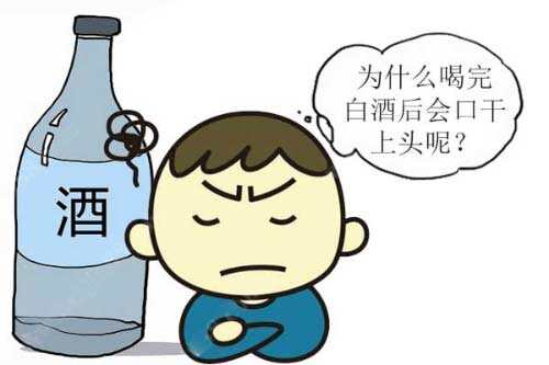 喝完白酒后出现口干上头的原因