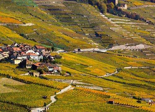 参观巴罗萨葡萄酒产区的6个理由