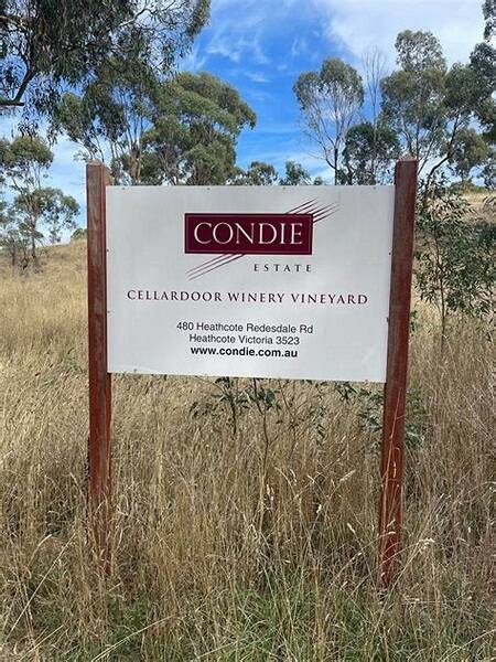 康迪酒庄 Condie Wines