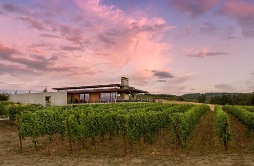 庞兹酒庄 Ponzi Vineyards