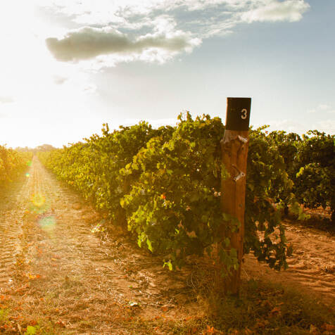 卡拉布里亚家族酒业 Calabria Family Wines