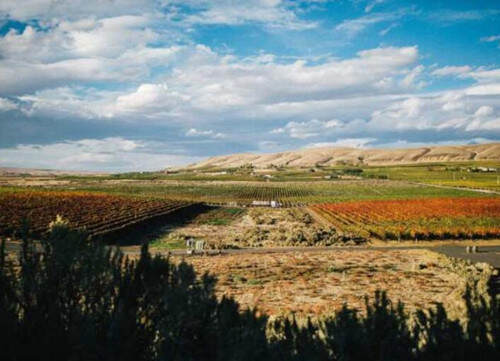 欧纳酒庄 Kiona Vineyards