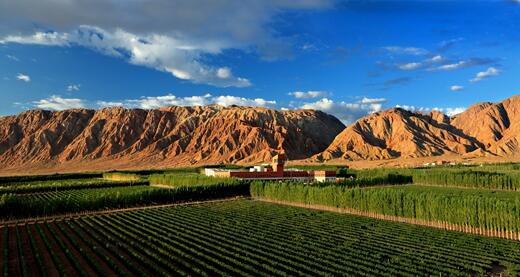 瀚海葡园 Hanhai Vineyard