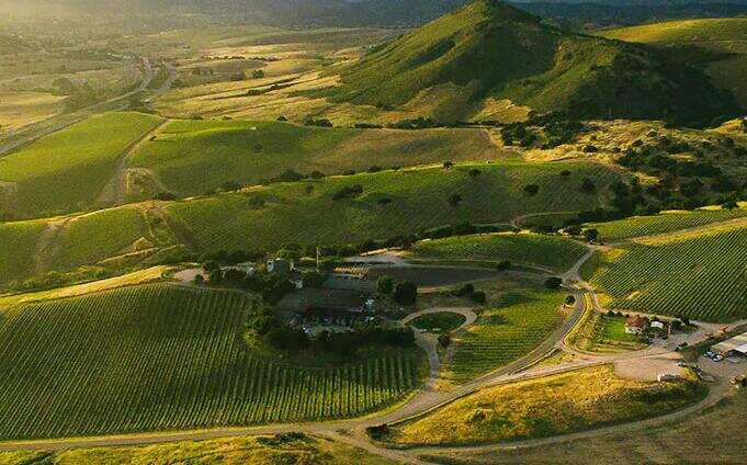 霁霞酒庄 Laetitia Winery