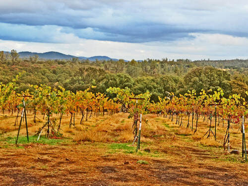 希克曼家族酒庄 Hickman Family Vineyards