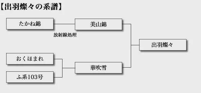 红酒庄玩票做的清酒，却斩获了金牌