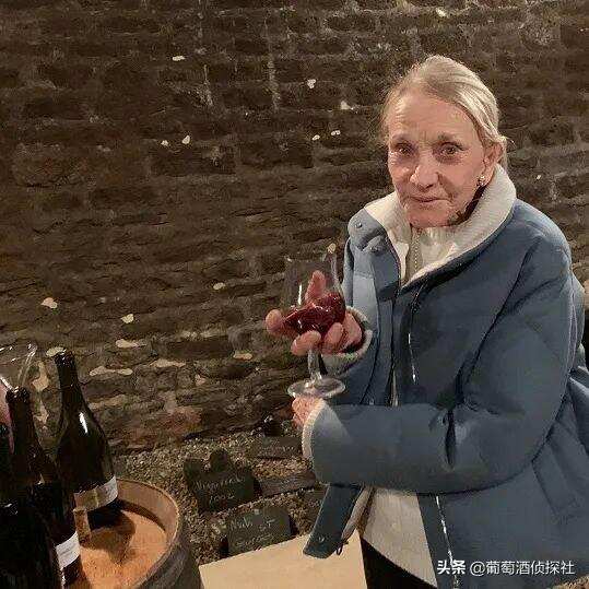 六个要点说清楚什么是葡萄酒的“风土”