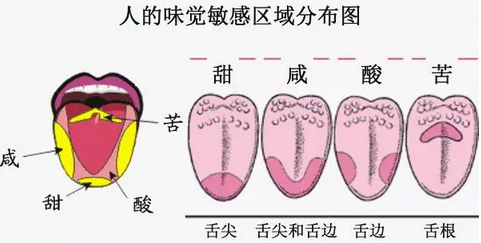 品鉴白酒，熟识“六味”，方寸间尝遍人生百态！