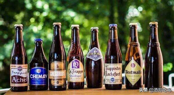 啤酒入门，如何逐级品尝比利时啤酒？