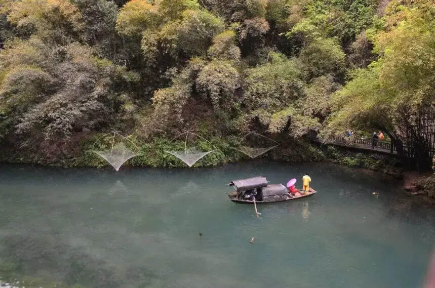 茅台，你还记得13年前被五粮液吊打的黑历史吗？