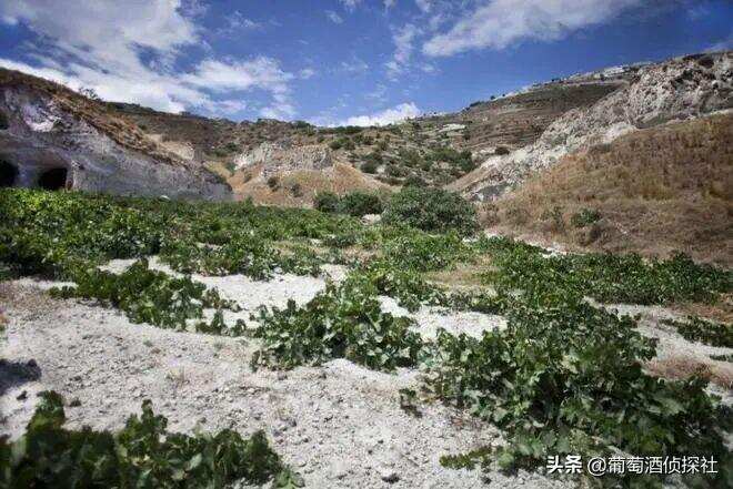 火山土壤的葡萄酒，是种什么味道？盘点全球火山土壤产区