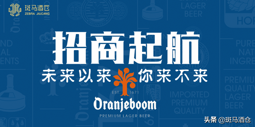 【NEW进行时】橘蹦oranjeboom招商令