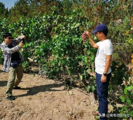 “留世酒庄”让人“留连忘返”~~“宁夏烤羊”遇到“饿狼传说”