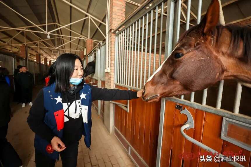 彩陶坊天时荟组建马术联谊活动，玩转高端跨界营销