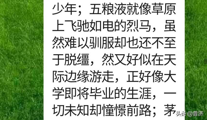 河南没好酒？“张宝林”曾经享誉中外，喝酒大省的名头如何再振兴