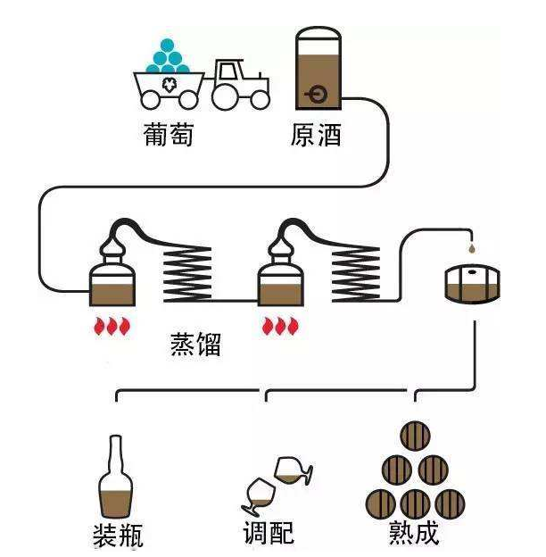 驭凡：大师收藏的白兰地酿造工艺