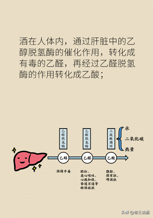 [小大夫漫画]吃这七类药物饮酒有致命风险，不知道可能就悲剧了