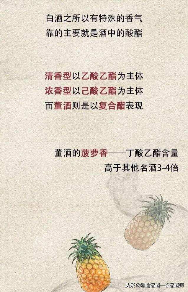 董酒是什么？雅愉品酒带你领略董酒风采