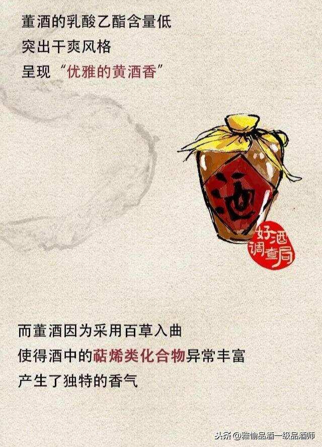 董酒是什么？雅愉品酒带你领略董酒风采