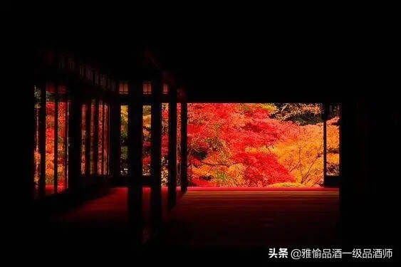 这是春的颜色，太美了！