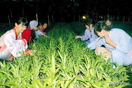 国内外有趣的中秋节习俗，越南人直接过成了儿童节