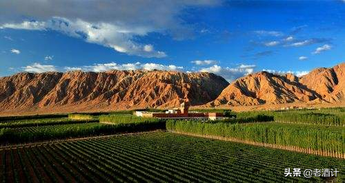 与法国葡萄酒之都齐名的“世界三大葡萄酒产区”居然在中国