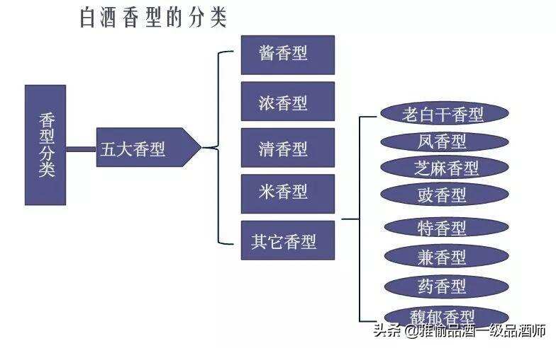 各种香型白酒到底有什么区别？