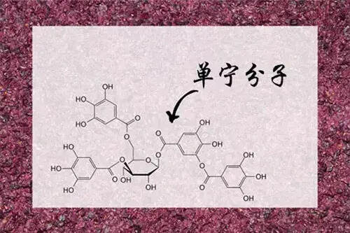 葡萄酒苦涩难喝？那是你没喝对