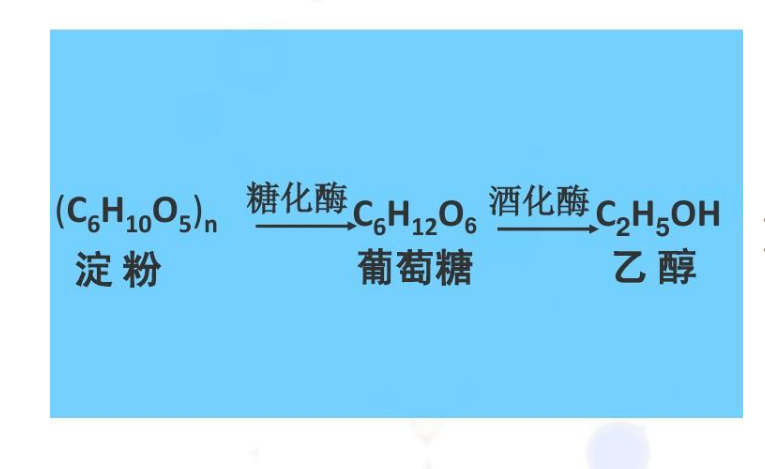 白酒百科：糖化酶、干酵母