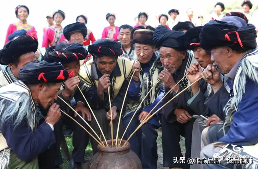 茅台发源地贵州的酒史