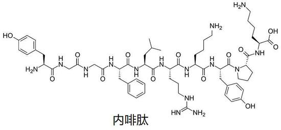 男人酒后爬进动物园，正面“刚”棕熊！喝酒真的能“壮胆”吗？