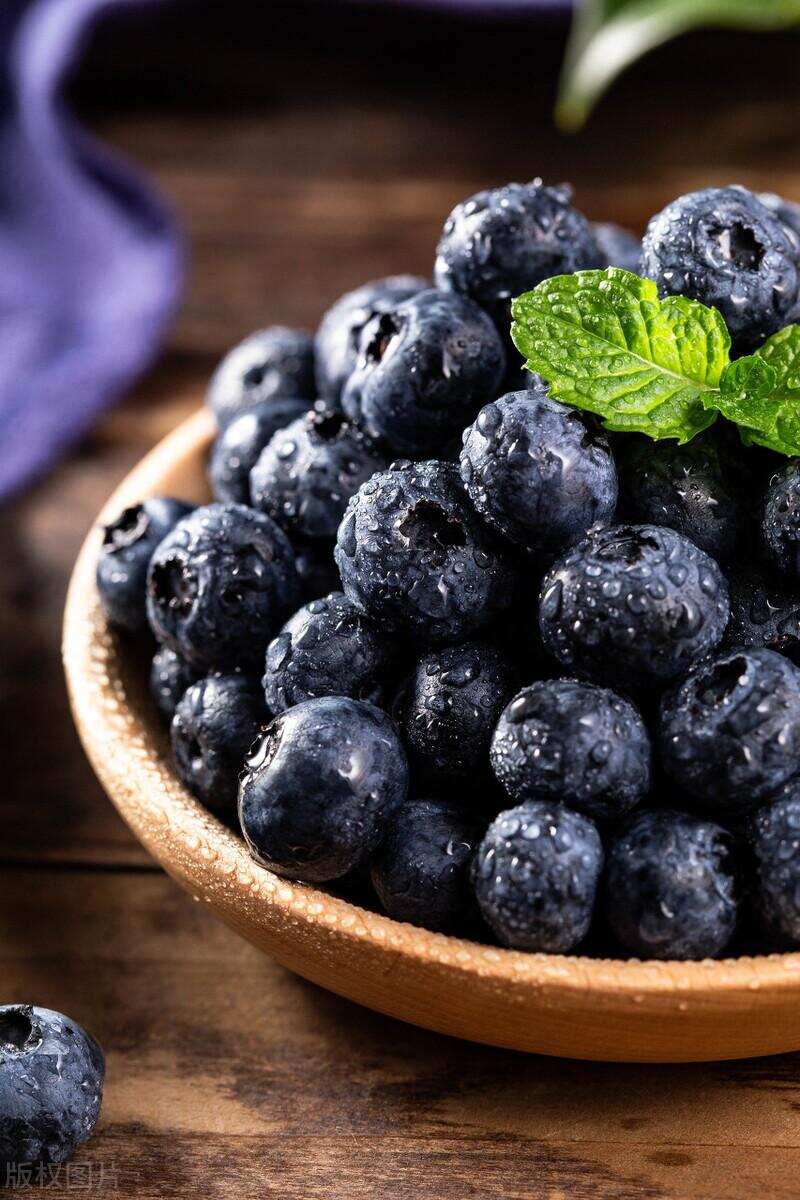 野生蓝莓和种植蓝莓，哪个营养好？