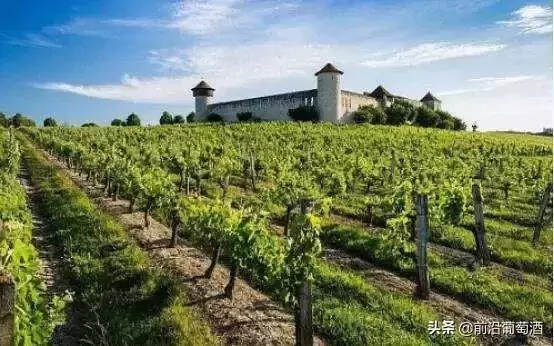 波尔多葡萄酒产区介绍（世界上四大葡萄酒产区都在那里）