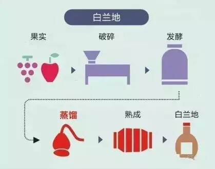 驭凡学堂 带你秒懂各类美酒酿造工艺