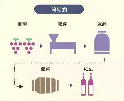 驭凡学堂 带你秒懂各类美酒酿造工艺