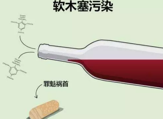 品完酒只会说真好喝？你离高逼格还差这些套路