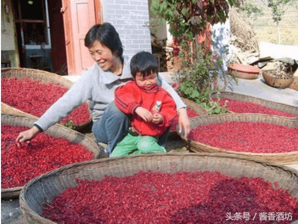 山茱萸可以泡酒吗｜山茱萸怎么泡酒｜山茱萸泡酒配方