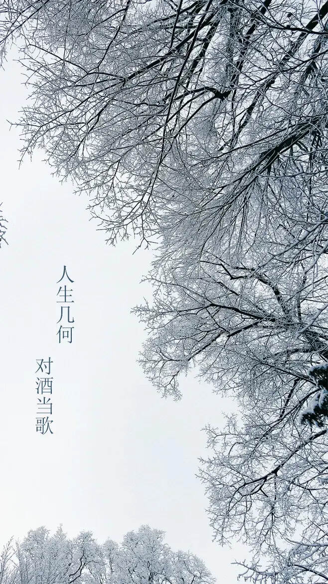 今日大雪 | 大雪品杜康，盛待故人归