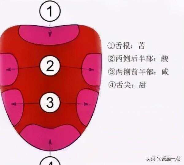 白酒中的苦味 是怎么回事？