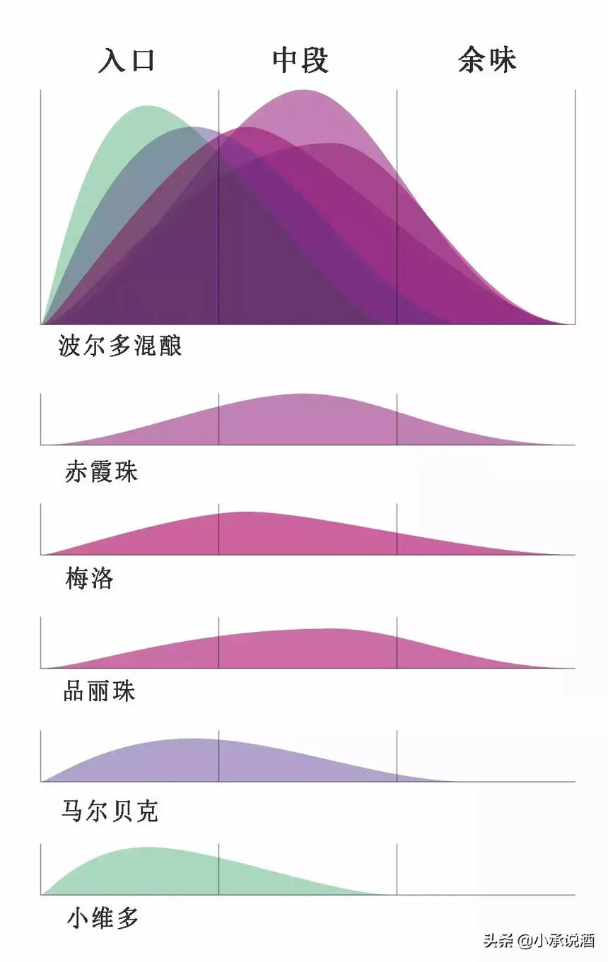 混酿都不懂，怎么喝波尔多？