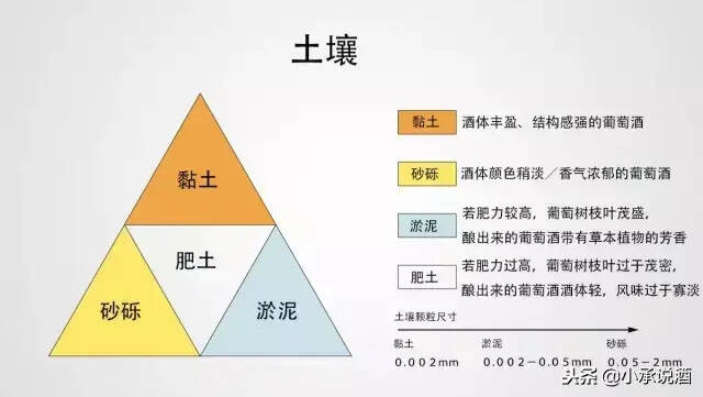 一瓶好葡萄酒酒的身世竟然是这样的？