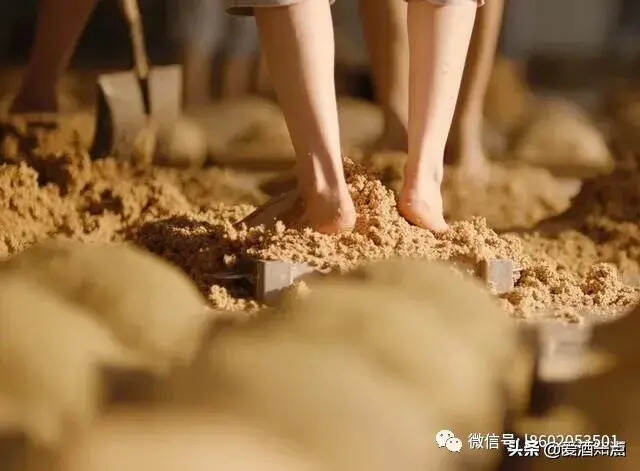 茅台镇酒厂为何要在端午制曲？