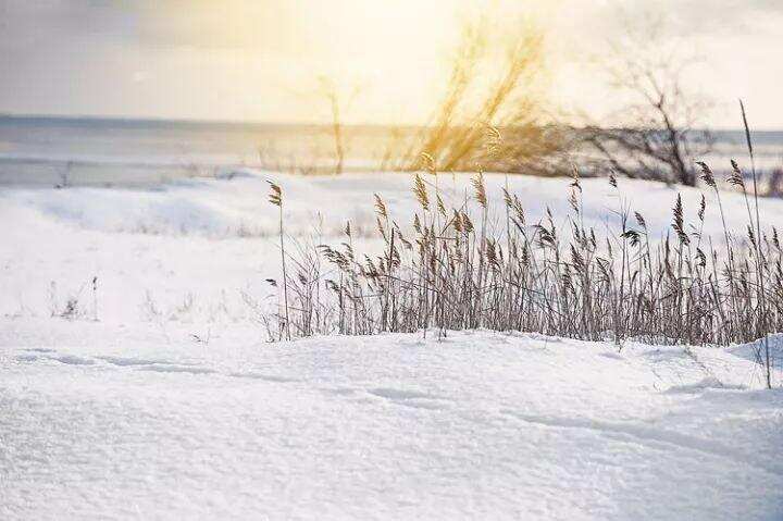 大雪来时，可否来杯酒？