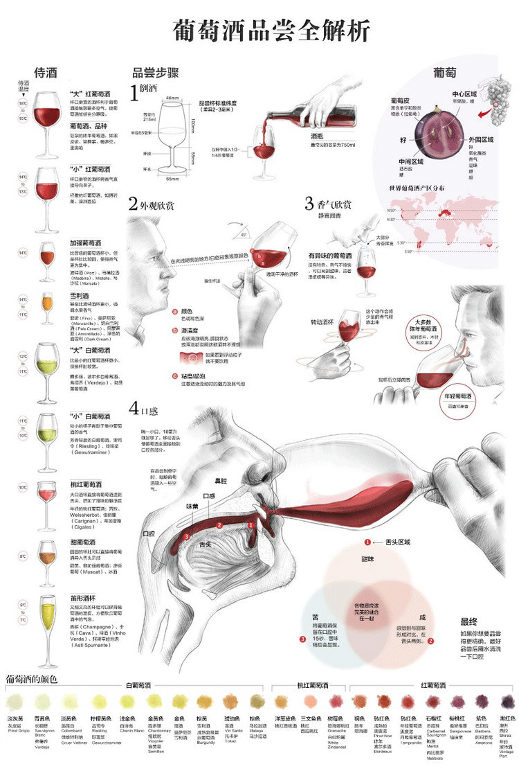一张图了解葡萄酒品鉴过程