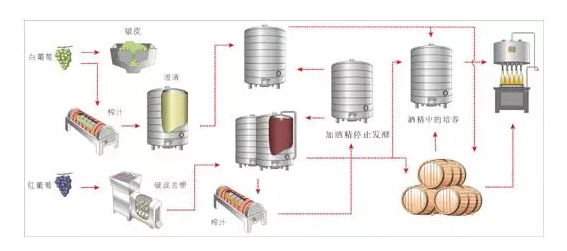 人人都该知道的葡萄酒小知识！