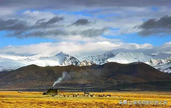 深度好文，让你了解中国各地特产