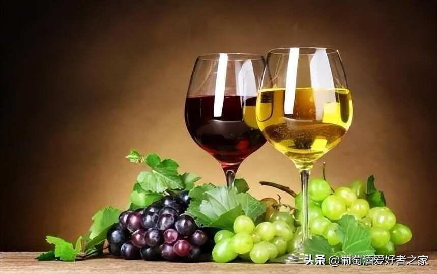 你知道红白葡萄酒的区别吗？