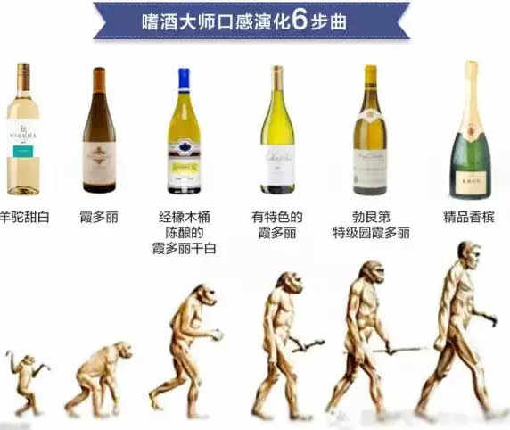 从葡萄酒小白到达人只需6步，你在第几步？