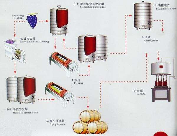 “红葡萄酒”是怎样酿造出来的？从采摘到灌装，一次性全都讲明白